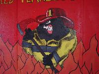North Lake Brownwood Volunteer Fire Dept and EMS Logo